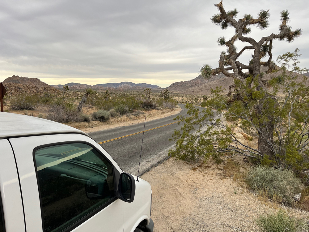 Joshua Tree National Park Sightseeing Tour